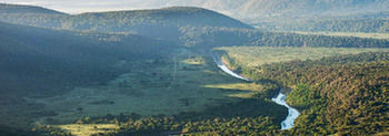 Kariega Game Reserve Settlers Drift Alexandria  Exteriör bild