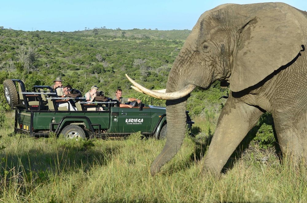 Kariega Game Reserve Settlers Drift Alexandria  Exteriör bild