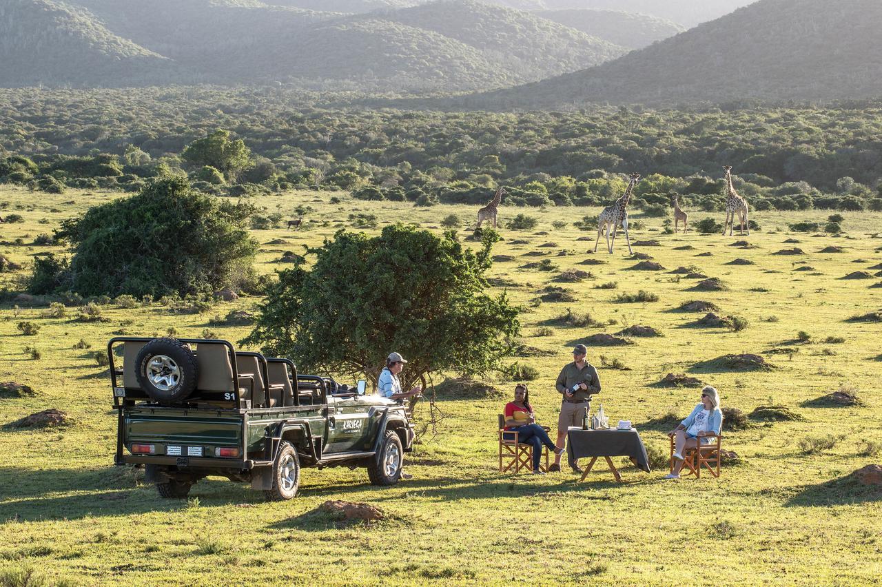 Kariega Game Reserve Settlers Drift Alexandria  Exteriör bild