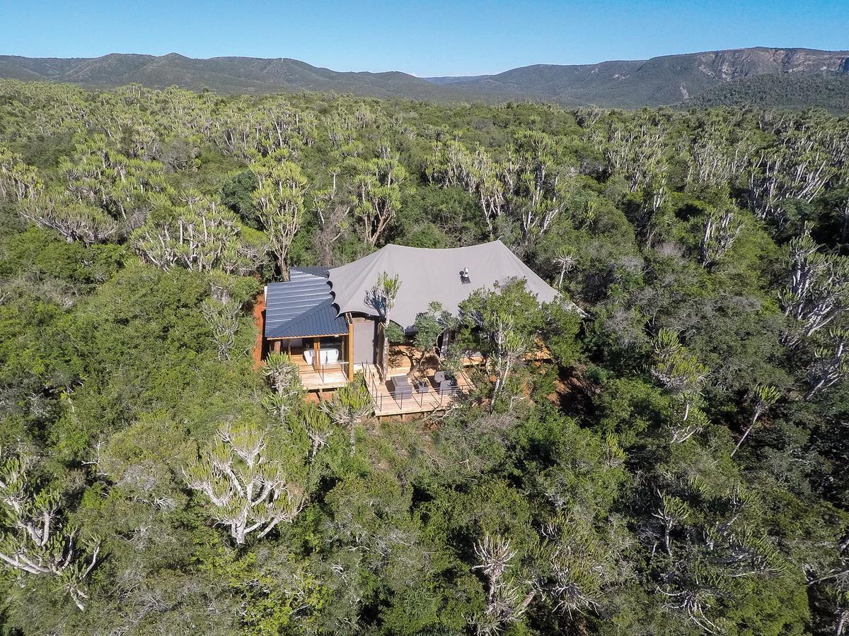 Kariega Game Reserve Settlers Drift Alexandria  Exteriör bild